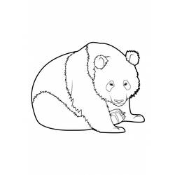 Malvorlage: Panda (Tiere) #12509 - Kostenlose Malvorlagen zum Ausdrucken