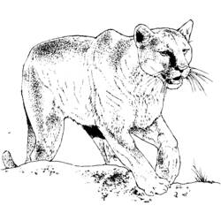 Malvorlage: Panther (Tiere) #15514 - Kostenlose Malvorlagen zum Ausdrucken