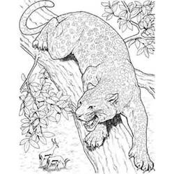 Malvorlage: Panther (Tiere) #15518 - Kostenlose Malvorlagen zum Ausdrucken