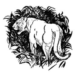 Malvorlage: Panther (Tiere) #15590 - Kostenlose Malvorlagen zum Ausdrucken
