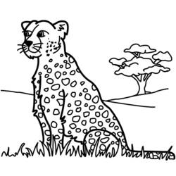 Malvorlage: Panther (Tiere) #15600 - Kostenlose Malvorlagen zum Ausdrucken