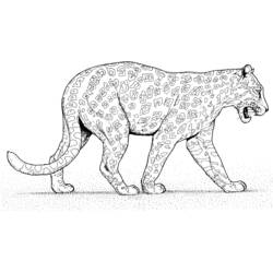 Malvorlage: Panther (Tiere) #15617 - Kostenlose Malvorlagen zum Ausdrucken