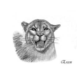 Malvorlage: Panther (Tiere) #15650 - Kostenlose Malvorlagen zum Ausdrucken