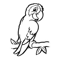 Malvorlage: Papagei (Tiere) #16061 - Kostenlose Malvorlagen zum Ausdrucken