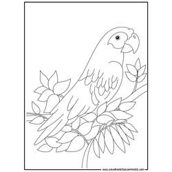 Malvorlage: Papagei (Tiere) #16078 - Kostenlose Malvorlagen zum Ausdrucken