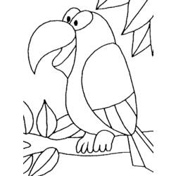Malvorlage: Papagei (Tiere) #16079 - Kostenlose Malvorlagen zum Ausdrucken