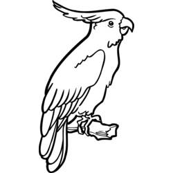 Malvorlage: Papagei (Tiere) #16081 - Kostenlose Malvorlagen zum Ausdrucken