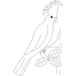 Malvorlage: Papagei (Tiere) #16092 - Kostenlose Malvorlagen zum Ausdrucken