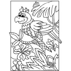 Malvorlage: Papagei (Tiere) #16094 - Kostenlose Malvorlagen zum Ausdrucken