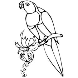 Malvorlage: Papagei (Tiere) #16117 - Kostenlose Malvorlagen zum Ausdrucken