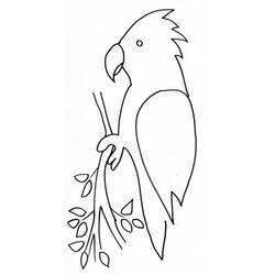 Malvorlage: Papagei (Tiere) #16168 - Kostenlose Malvorlagen zum Ausdrucken