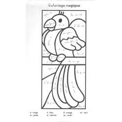 Malvorlage: Papagei (Tiere) #16179 - Kostenlose Malvorlagen zum Ausdrucken