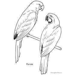 Malvorlage: Papagei (Tiere) #16194 - Kostenlose Malvorlagen zum Ausdrucken