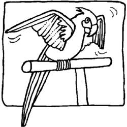 Malvorlage: Papagei (Tiere) #16206 - Kostenlose Malvorlagen zum Ausdrucken