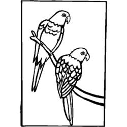 Malvorlage: Papagei (Tiere) #16212 - Kostenlose Malvorlagen zum Ausdrucken