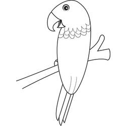 Malvorlage: Papagei (Tiere) #16239 - Kostenlose Malvorlagen zum Ausdrucken