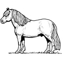 Malvorlage: Pferd (Tiere) #2162 - Kostenlose Malvorlagen zum Ausdrucken