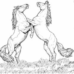 Malvorlage: Pferd (Tiere) #2170 - Kostenlose Malvorlagen zum Ausdrucken
