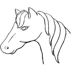 Malvorlage: Pferd (Tiere) #2173 - Kostenlose Malvorlagen zum Ausdrucken