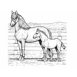 Malvorlage: Pferd (Tiere) #2185 - Kostenlose Malvorlagen zum Ausdrucken