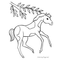 Malvorlage: Pferd (Tiere) #2202 - Kostenlose Malvorlagen zum Ausdrucken