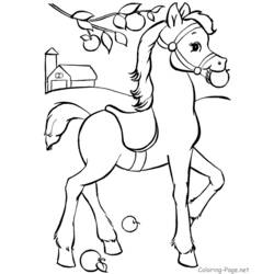 Malvorlage: Pferd (Tiere) #2225 - Kostenlose Malvorlagen zum Ausdrucken
