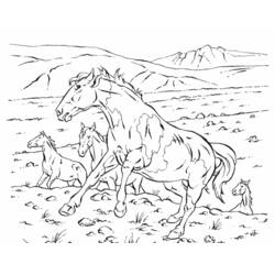 Malvorlage: Pferd (Tiere) #2226 - Kostenlose Malvorlagen zum Ausdrucken