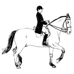 Malvorlage: Pferd (Tiere) #2261 - Kostenlose Malvorlagen zum Ausdrucken