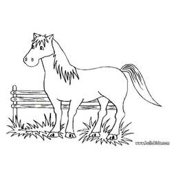 Malvorlage: Pferd (Tiere) #2269 - Kostenlose Malvorlagen zum Ausdrucken