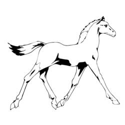 Malvorlage: Pferd (Tiere) #2297 - Kostenlose Malvorlagen zum Ausdrucken