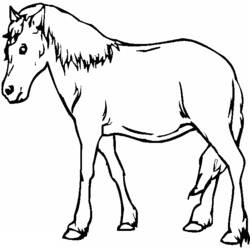Malvorlage: Pferd (Tiere) #2299 - Kostenlose Malvorlagen zum Ausdrucken