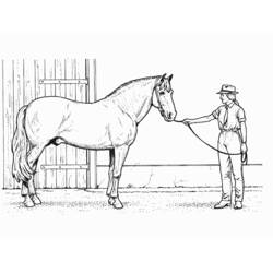 Malvorlage: Pferd (Tiere) #2308 - Kostenlose Malvorlagen zum Ausdrucken