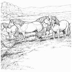 Malvorlage: Pferd (Tiere) #2313 - Kostenlose Malvorlagen zum Ausdrucken