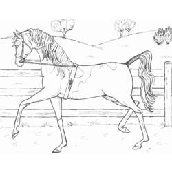 Malvorlage: Pferd (Tiere) #2334 - Kostenlose Malvorlagen zum Ausdrucken