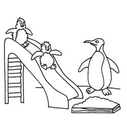 Malvorlage: Pinguin (Tiere) #16825 - Kostenlose Malvorlagen zum Ausdrucken