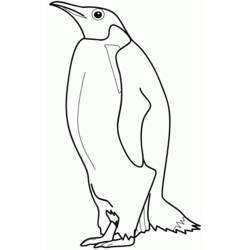 Malvorlage: Pinguin (Tiere) #16842 - Kostenlose Malvorlagen zum Ausdrucken