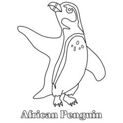 Malvorlage: Pinguin (Tiere) #16847 - Kostenlose Malvorlagen zum Ausdrucken