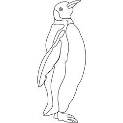 Malvorlage: Pinguin (Tiere) #16860 - Kostenlose Malvorlagen zum Ausdrucken
