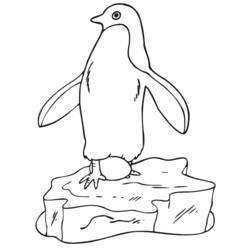 Malvorlage: Pinguin (Tiere) #16864 - Kostenlose Malvorlagen zum Ausdrucken