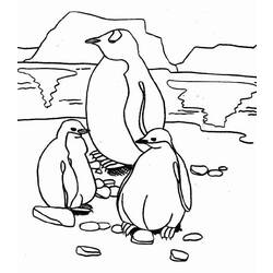 Malvorlage: Pinguin (Tiere) #16876 - Kostenlose Malvorlagen zum Ausdrucken
