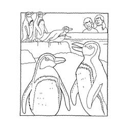 Malvorlage: Pinguin (Tiere) #16901 - Kostenlose Malvorlagen zum Ausdrucken