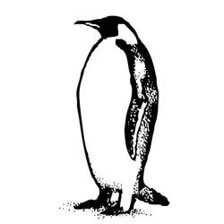 Malvorlage: Pinguin (Tiere) #16905 - Kostenlose Malvorlagen zum Ausdrucken