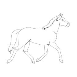Malvorlage: Pony (Tiere) #17906 - Kostenlose Malvorlagen zum Ausdrucken