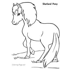 Malvorlage: Pony (Tiere) #17946 - Kostenlose Malvorlagen zum Ausdrucken