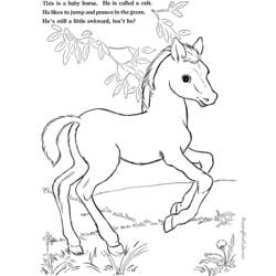 Malvorlage: Pony (Tiere) #17997 - Kostenlose Malvorlagen zum Ausdrucken