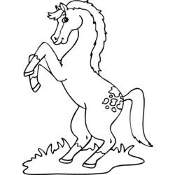 Malvorlage: Pony (Tiere) #18018 - Kostenlose Malvorlagen zum Ausdrucken