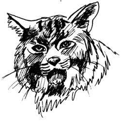 Malvorlage: Puma (Tiere) #4398 - Kostenlose Malvorlagen zum Ausdrucken
