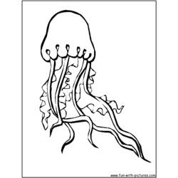 Malvorlage: Qualle (Tiere) #20394 - Kostenlose Malvorlagen zum Ausdrucken