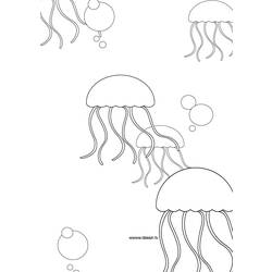 Malvorlage: Qualle (Tiere) #20481 - Kostenlose Malvorlagen zum Ausdrucken