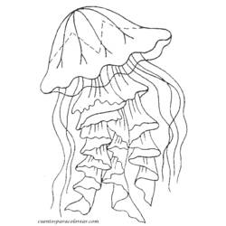 Malvorlage: Qualle (Tiere) #20521 - Kostenlose Malvorlagen zum Ausdrucken